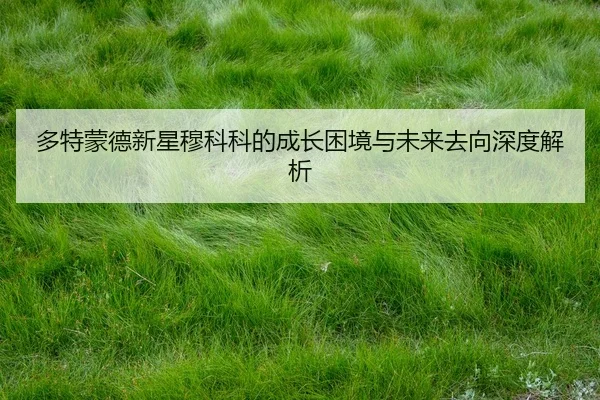 多特蒙德新星穆科科的成长困境与未来去向深度解析