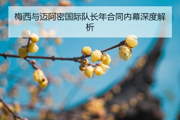 mei-xi-yu-mai-a-mi-guo-ji-dui-zhang-nian-he-tong-nei-mu-shen-du-jie-xi-2-567.jpg