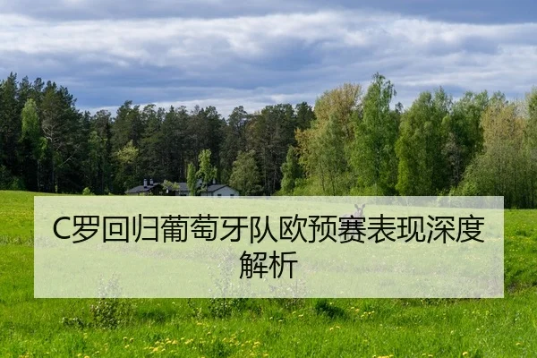 luo-hui-gui-pu-tao-ya-dui-ou-yu-sai-biao-xian-shen-du-jie-xi-2-699.jpg