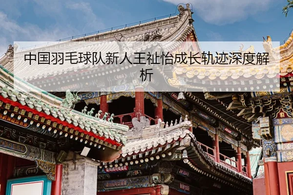 中国羽毛球队新人王祉怡成长轨迹深度解析